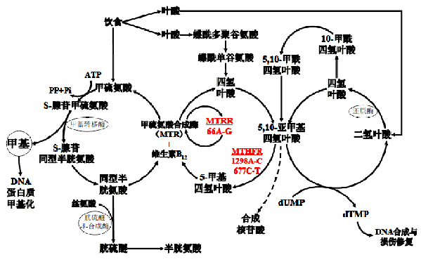 97国际(中国区) - 官方网站