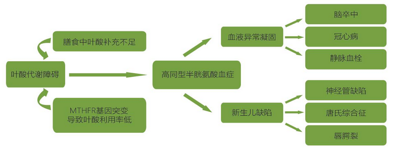97国际(中国区) - 官方网站