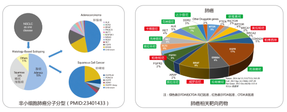 97国际(中国区) - 官方网站
