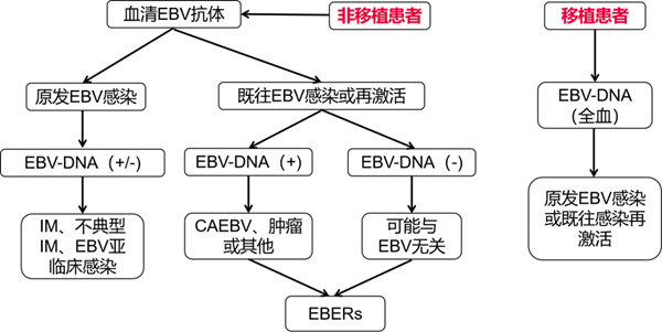97国际(中国区) - 官方网站
