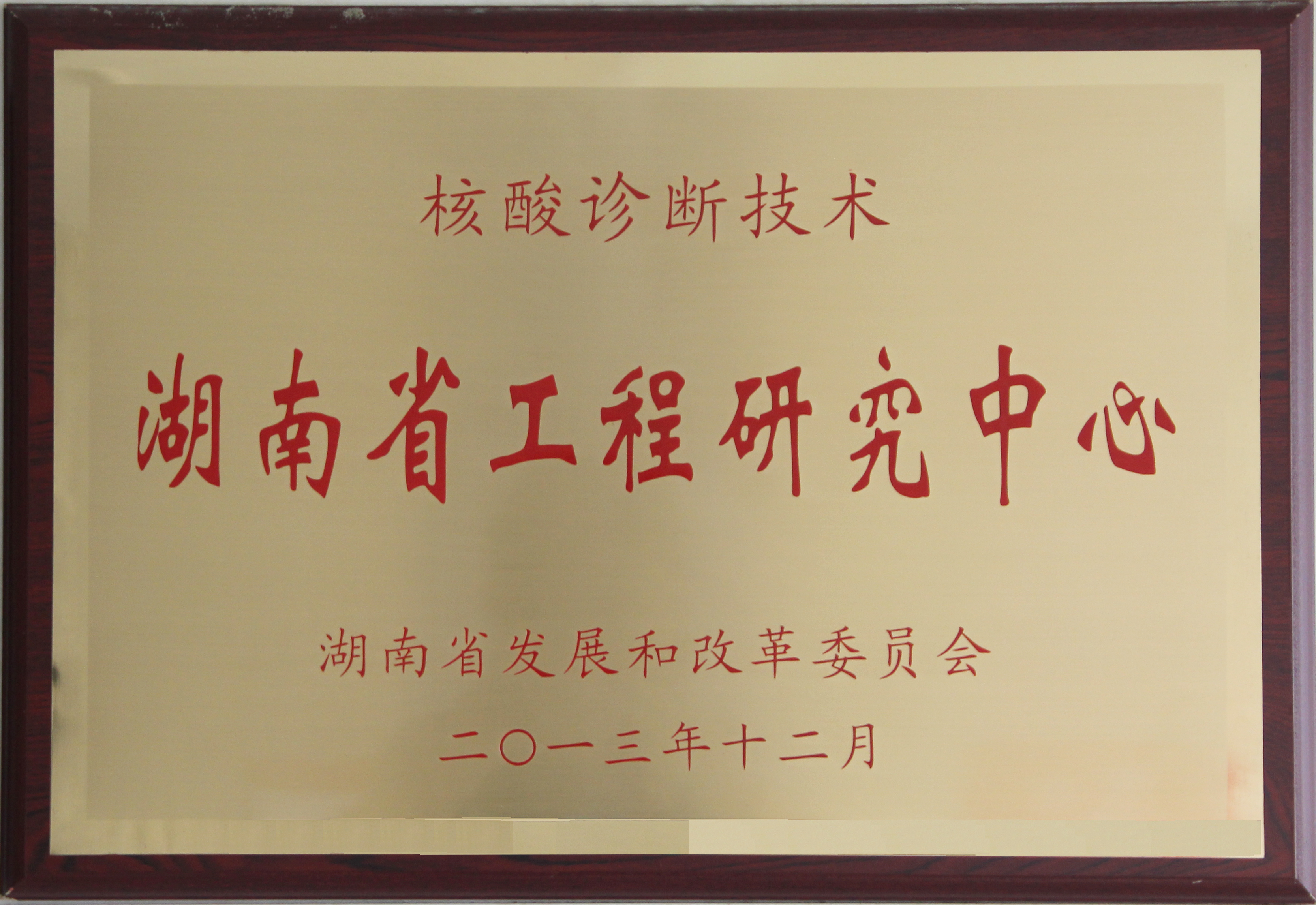 97国际生物 （688289）— 生命科技普惠者