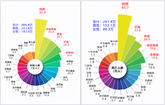 97国际(中国区) - 官方网站